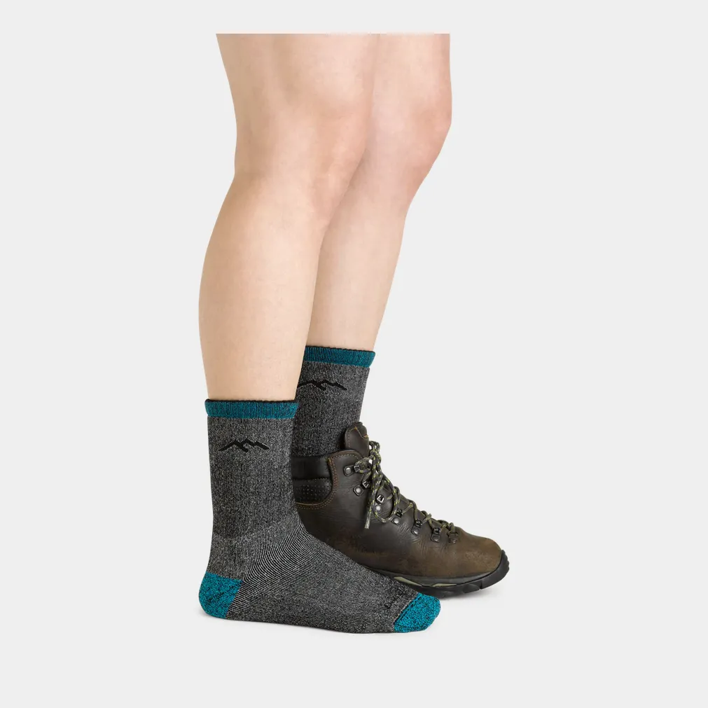 Darn Tough Women's Microcrew/Heavyweight/Full Cushion Socks